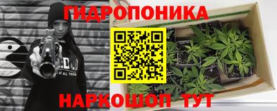 СК Кимры