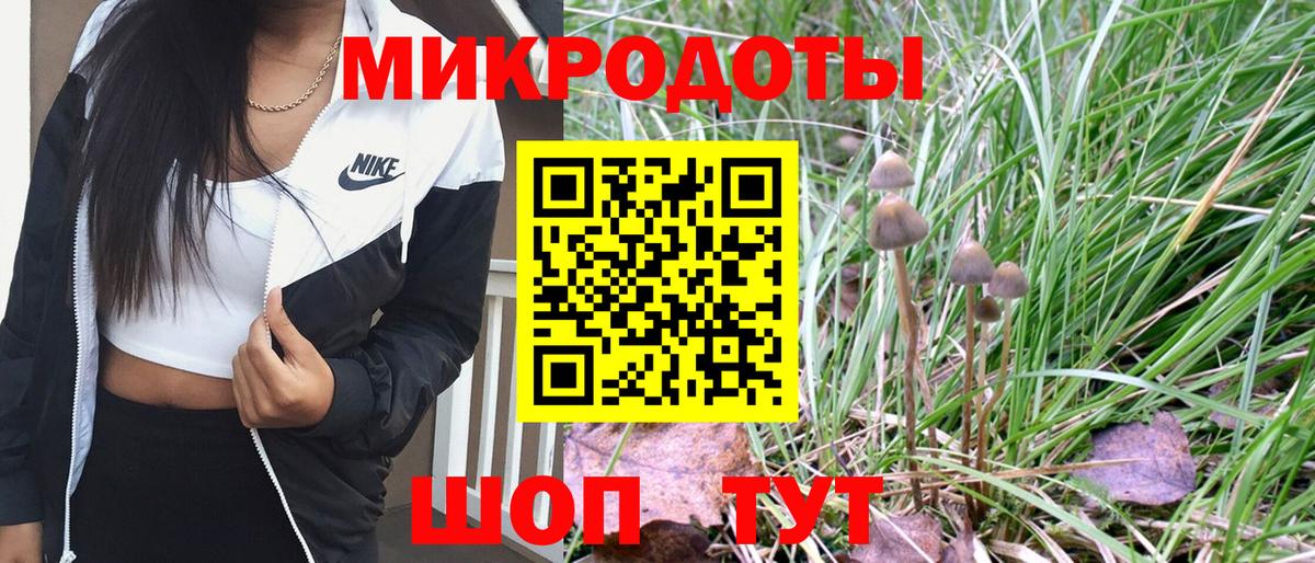 Костомукша  Псилоцибиновые грибы Psilocybe  Псилоцибиновые грибы MAGIC MUSHROOMS  Вход с VPN 